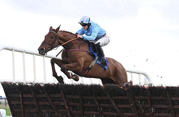 Corbetts Cross and Maxine O'Sullivan jump the last