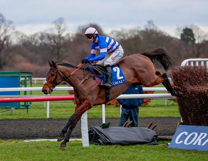 Pic D'Orhy and Harry Cobden on their way to success