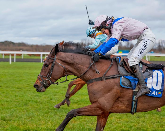 West Balboa wins a photo from Red Risk, far side 