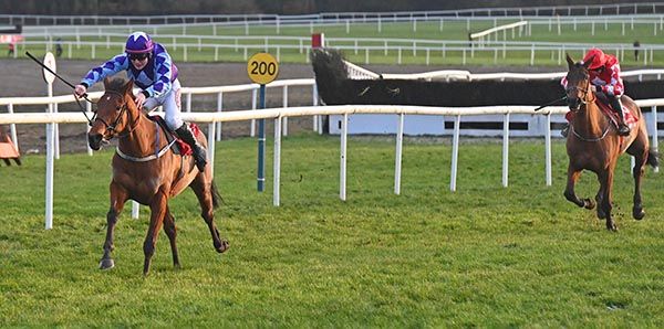 Bohemian Summer and Dara McGill are clear