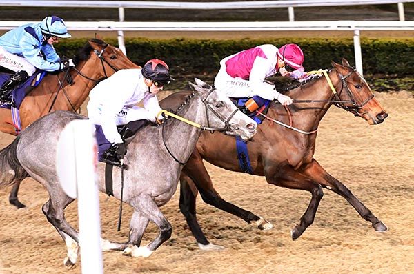 Angel Above and Nathan Crosse beat Lily Maguire 