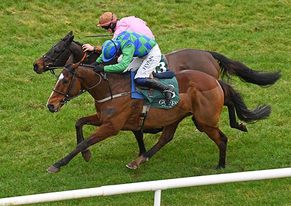 Carefully Selected, near side, pips Dunboyne in a thrilling finish