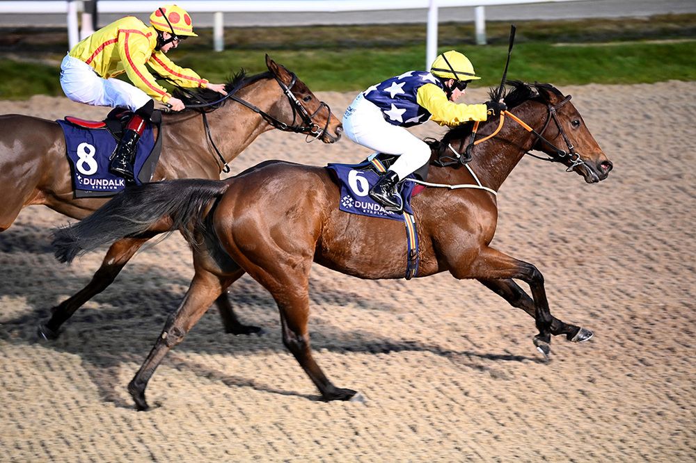 Higher Kingdom and Siobhan Rutledge 