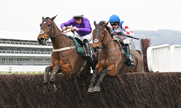 Il Ridoto, right, winning at Cheltenham