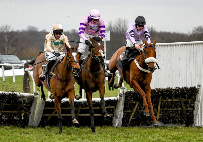 Donald McCain's Maximilian will miss the rest of the season. 