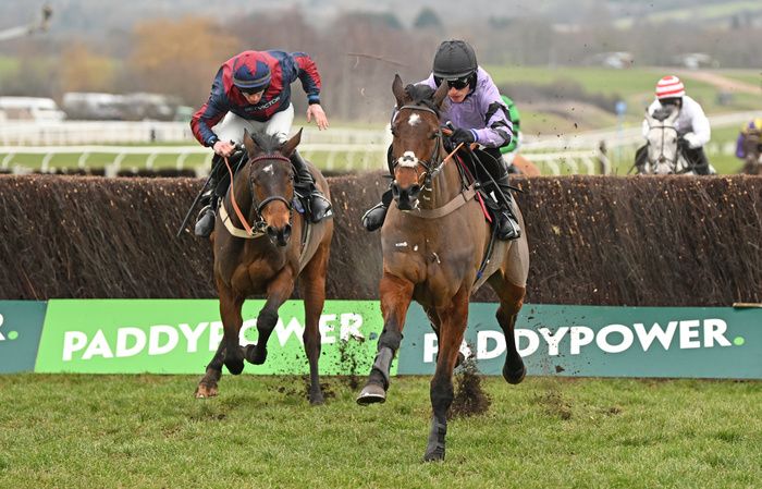 Saturday's Cheltenham winner Stage Star (right)