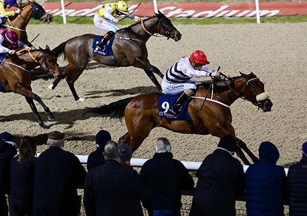 Doctor Grace and Bill Lee