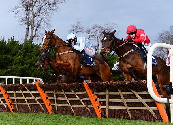 Leopardstown Gala Marceau wins the Grade 1 Donoghues Marquees Spring Juvenile Hurdle 
