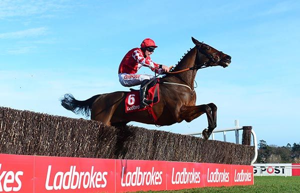 Mighty Potter and Davy Russell win the Ladbrokes Novice Steeplechase Grade 1 