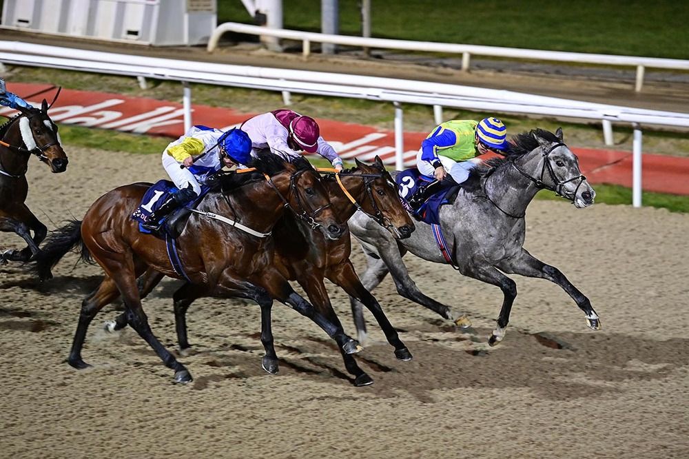 Stormy Entry and Seamie Heffernan (nearest) win from Cash Out (far side) and Angel Above (centre) 