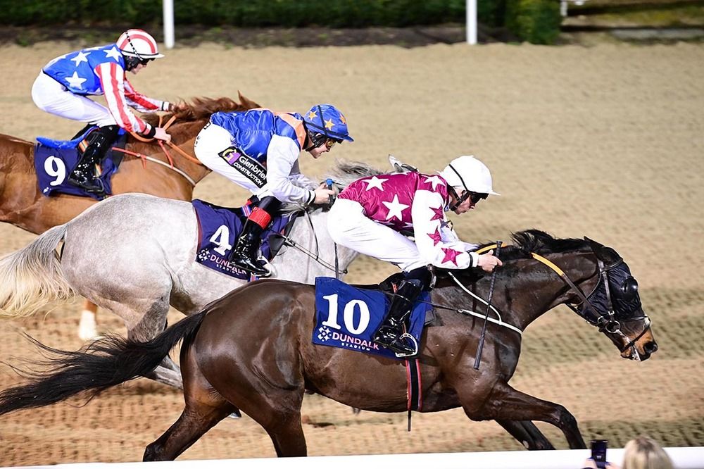 Numidia and Hugh Horgan get up from Indiana Grey (centre) and Well Suited (far side)
