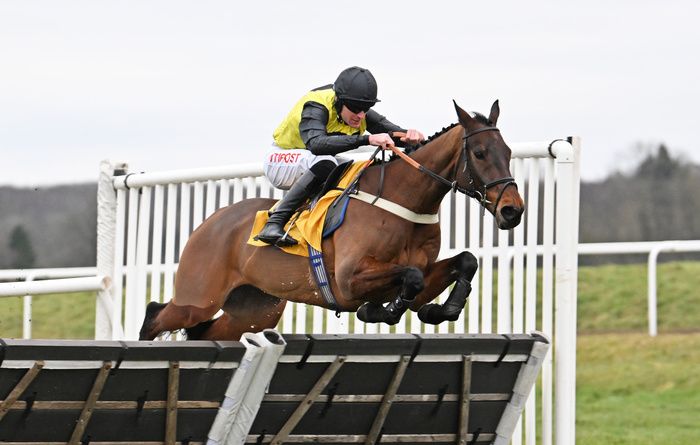 Aucunrisque (Nick Scholfield) winning the Betfair Hurdle at Newbury 