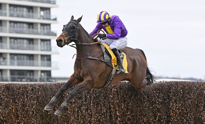 Zanza and Tom O Brien winning the Betfair Denman Chase