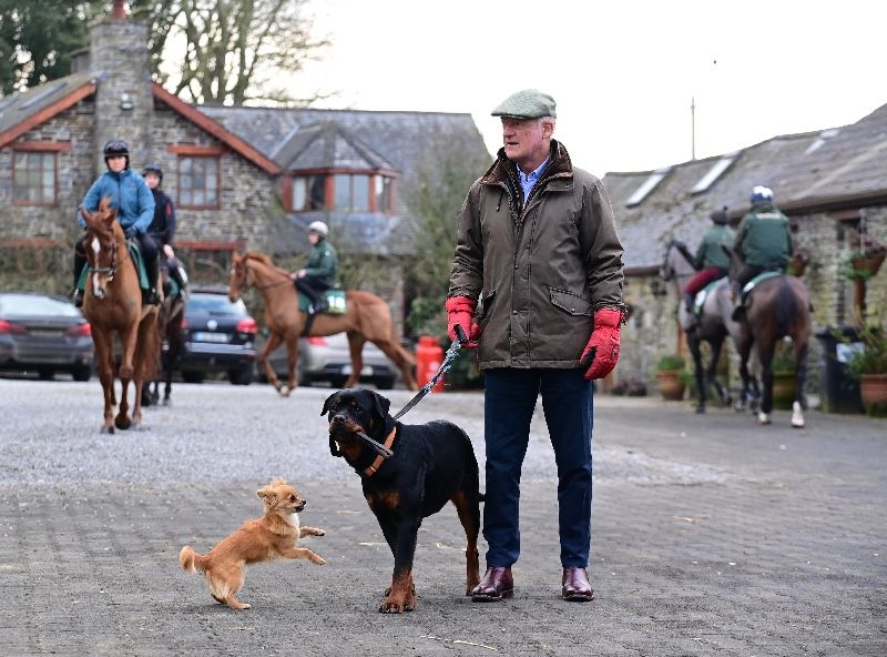 Willie Mullins