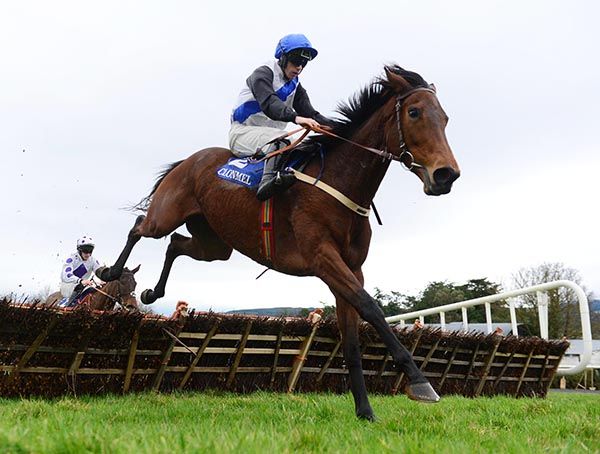 Feddans and Conor Maxwell 