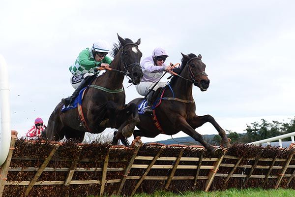 Shean Glory and Phillip Enright (right) claim Crowsatedappletart 