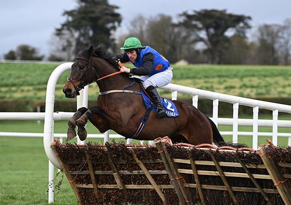 West Breeze and Chris O'Donovan