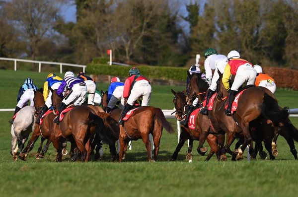 Punchestown  