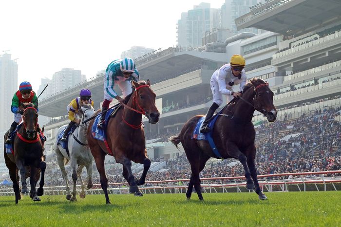 Sha Tin racecourse