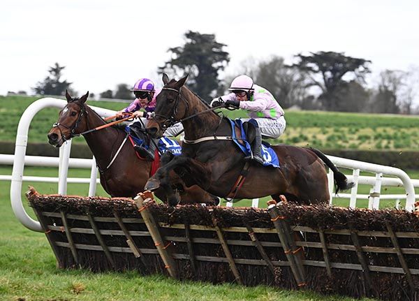 Figaroc, near side, beats Trust Me Nate 