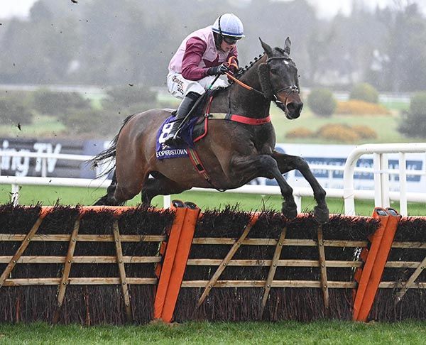 Wa Wa delivers under Bryan Cooper