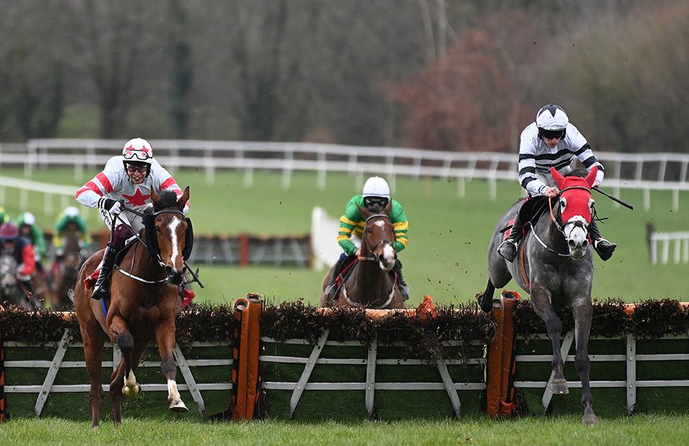 Karuma Grey and Diarmuid Moloney win for owner Paul Holden and trainer Ellmarie Holden 