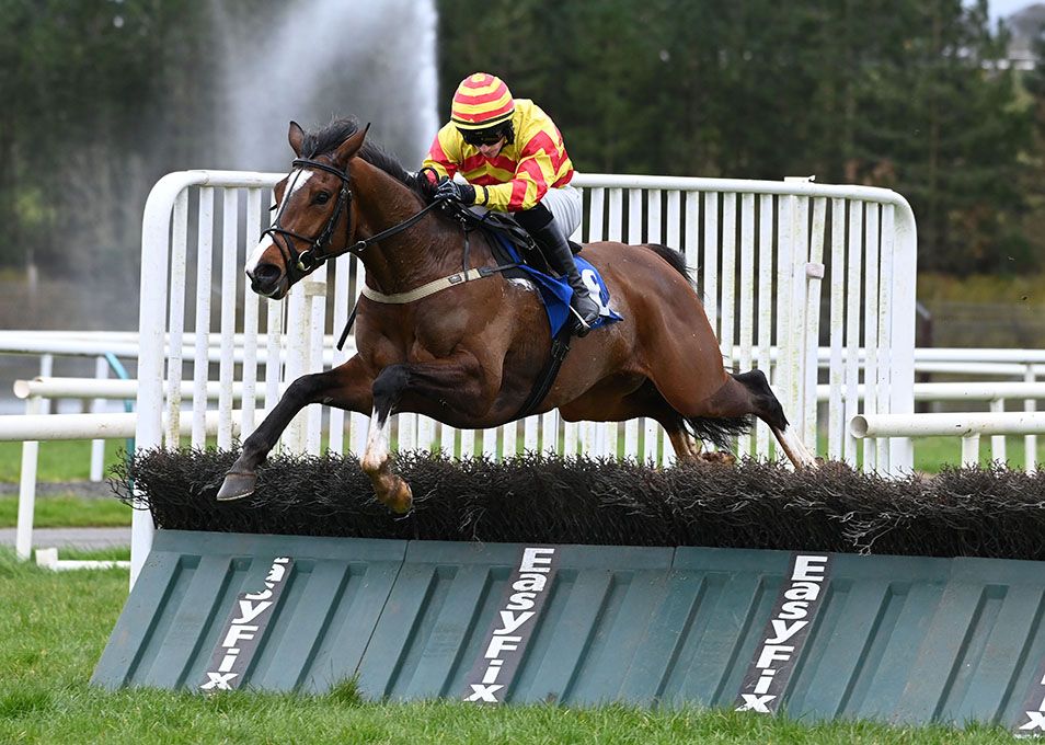 Your Honor and Gavin Brouder at the last