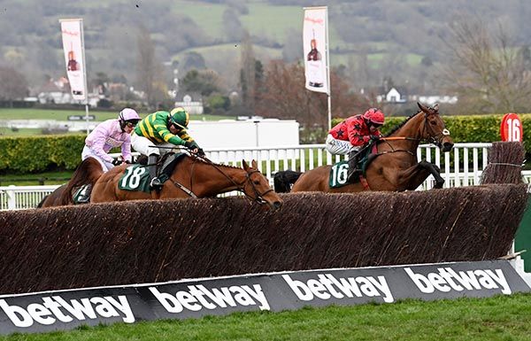 Maskada jumping the last at Cheltenham ahead of Dinoblue and Global Citizen 2023