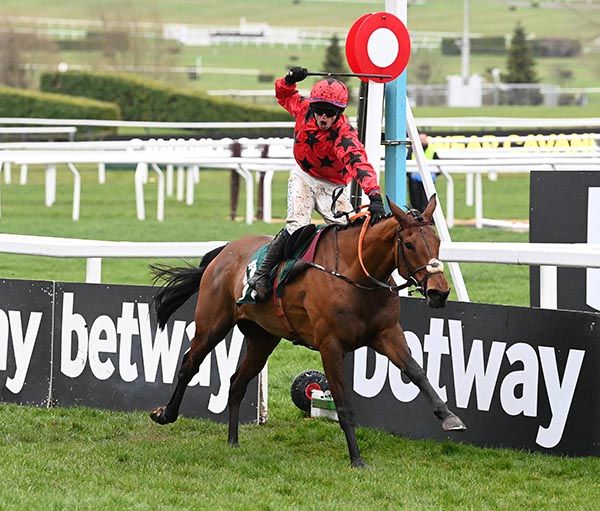 Maskada among the Opera Hat entries