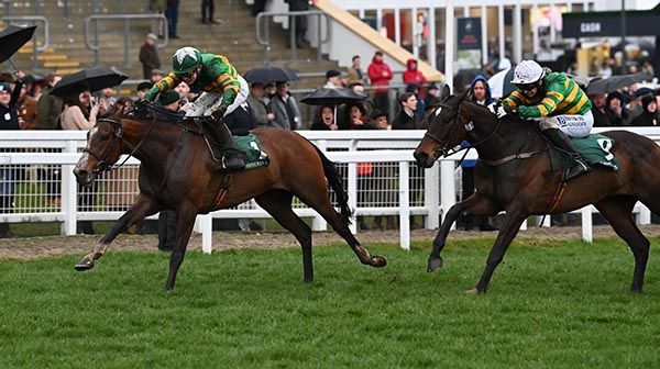 A Dream To Share (left) beating Fact To File at Cheltenham