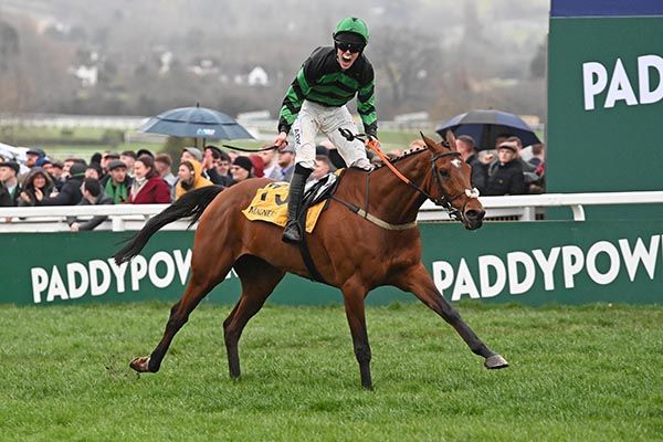 Seddon and Ben Harvey win the Magners Plate Handicap Chase at Cheltenham