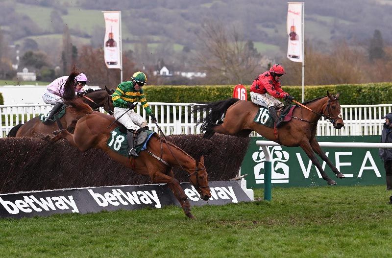Cheltenham Maskada wins the Johnny Henderson Grand Annual Challenge Cup Handicap Steeplechase from Dinoblue 