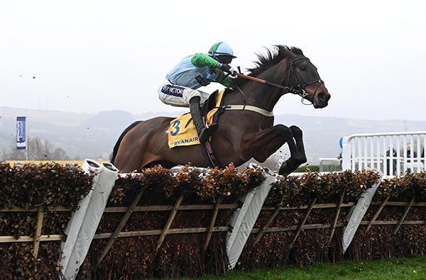 You Wear It Well and Gavin Sheehan