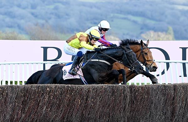 coral cheltenham betting offers and free bets