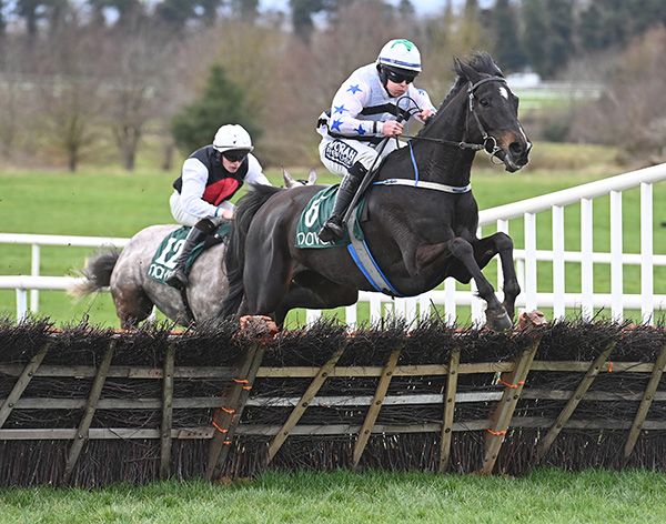 Carbon King and Shane Fitzgerald lead over the last