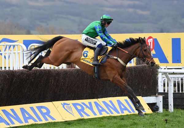 Ga Law and Jonathan Burke 