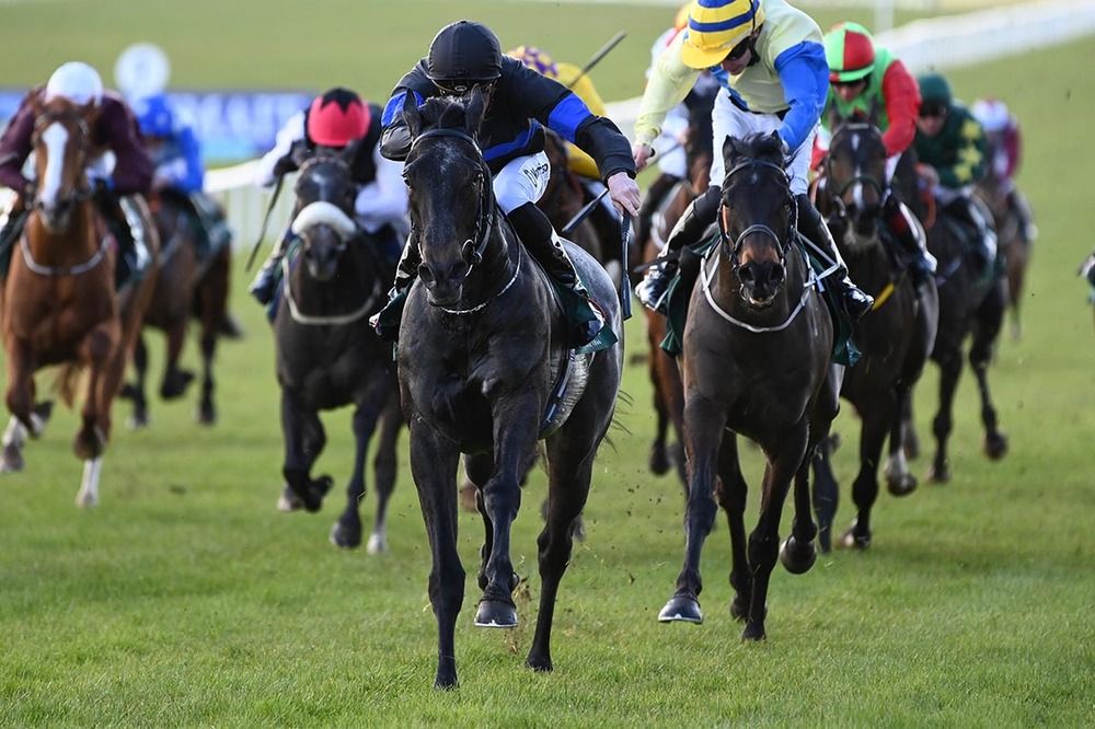 Shadowed and Shane Crosse 