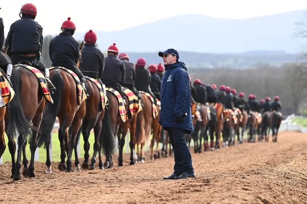 Aidan O'Brien at Ballydoyle this morning 