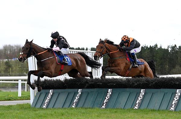 So Des Flos jumps alongside Castle Field Boy