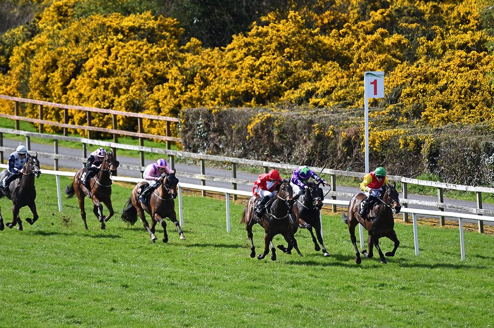 Polar Bear and Shane Foley come between Sam's Express (right) and Escaping Thejungle