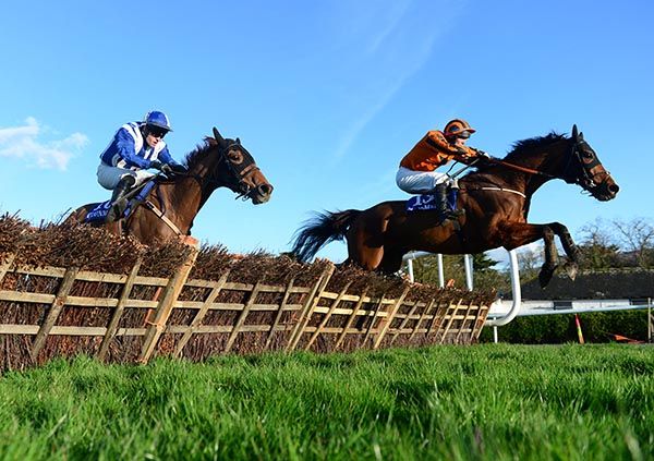 Mighty Jeremy (orange)