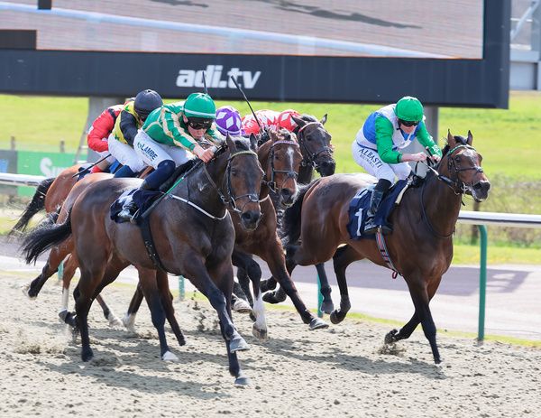 Final Voyage (nearest) winning at Lingfield
