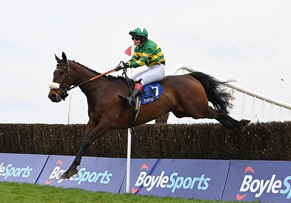 Phidelma Elvin steers Gain De Cause home