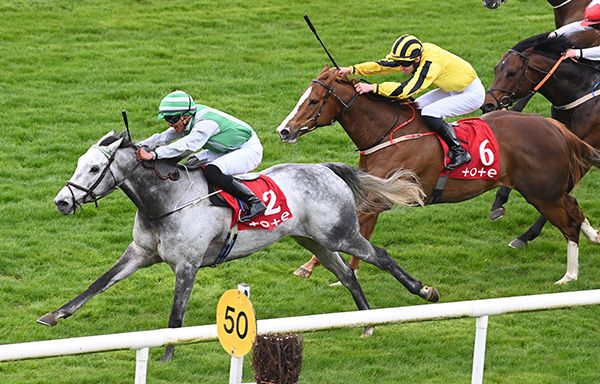 Real Force runs on well for Yudish Geerdharry 