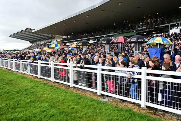 Fairyhouse 