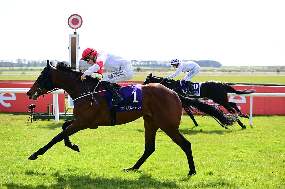 Bright Legend arrives at the winning post