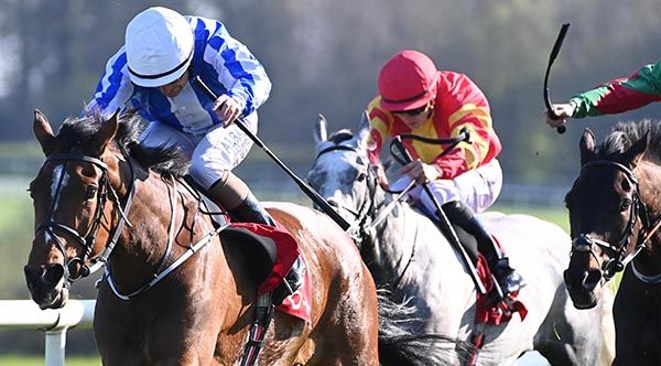 Mellow Magic and Shane Foley