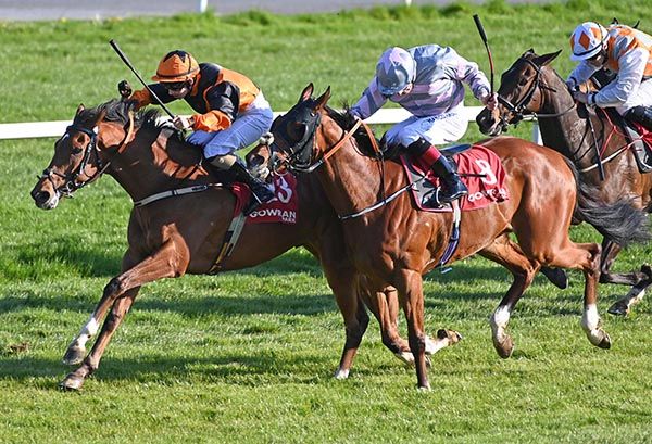 Rockview Roman (left) and Siobhan Rutledge