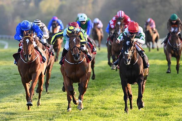 Party Central, right, finishes off best of all