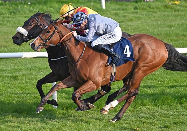  Snowcapped and Nathan Crosse (inner) beat Collage 